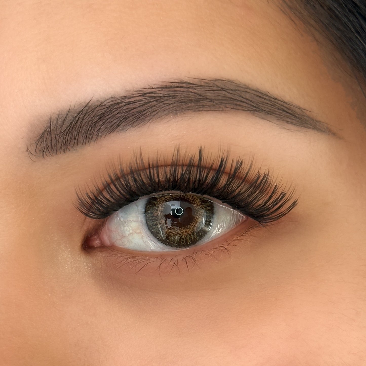 Gloria Mix & Match Lashes - Short/Medium/Long/Mix